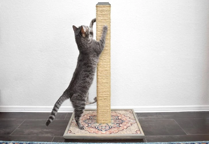 DIY Cat Scratching Post That Lasts for Years