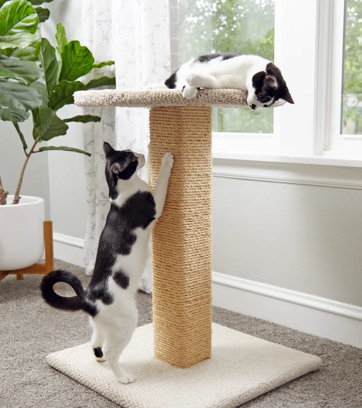DIY Cat Scratching Post