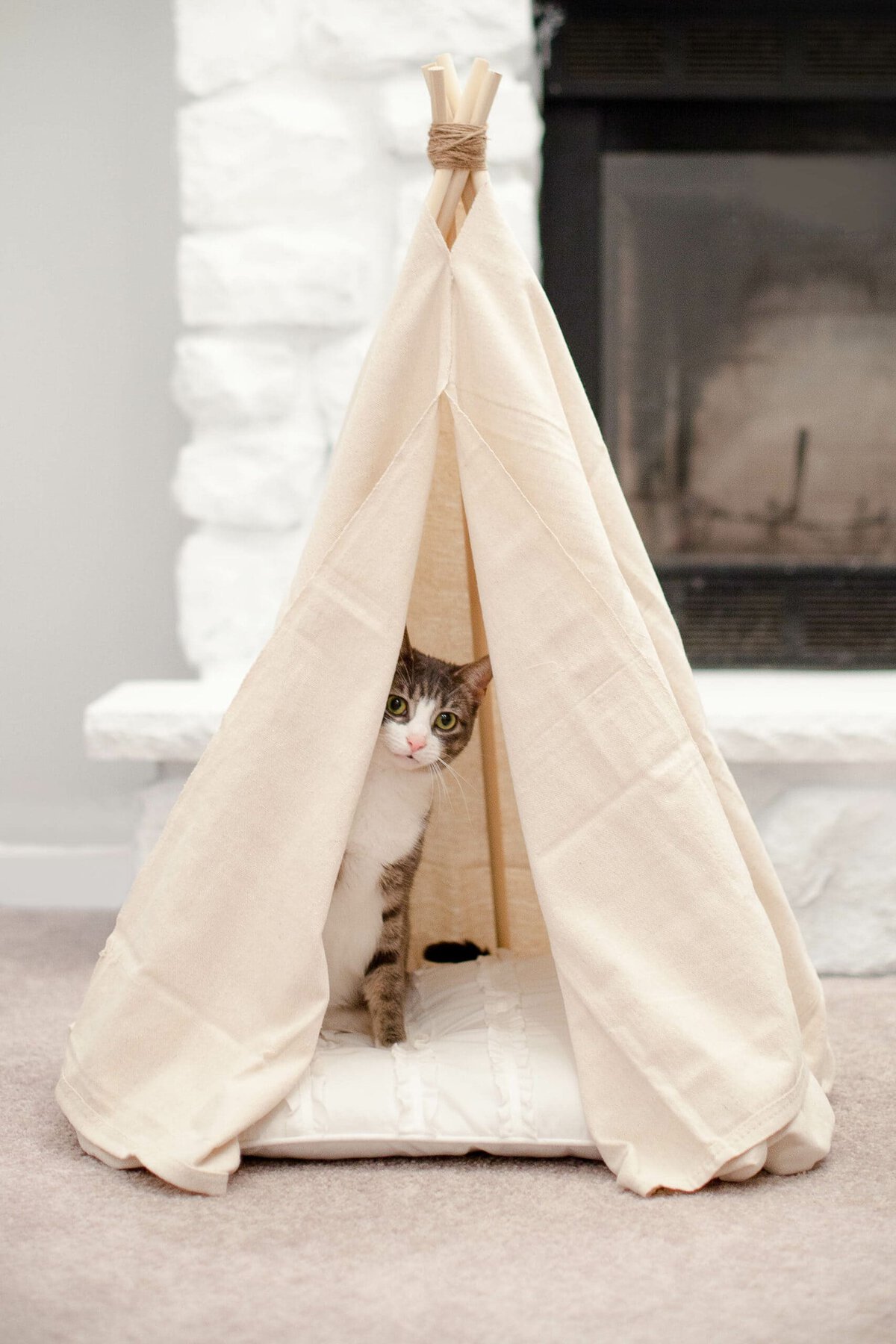DIY Cat Teepee