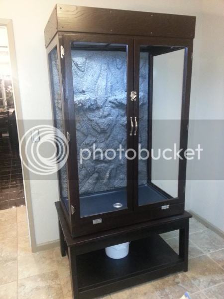 DIY Chameleon Mansion Build