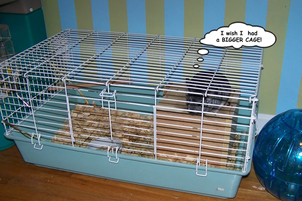 DIY Chinchilla Cage