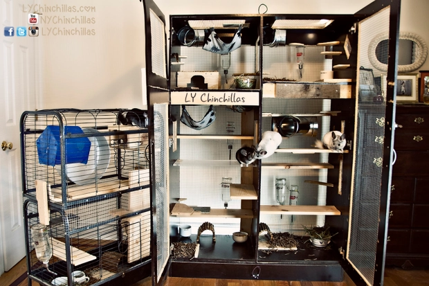 DIY Chinchilla Cage