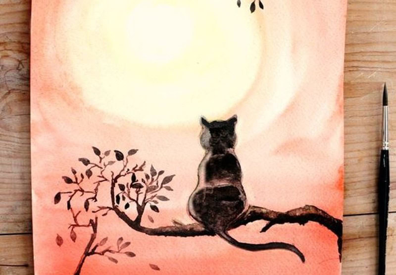 DIY Christmas Gifts For Cats