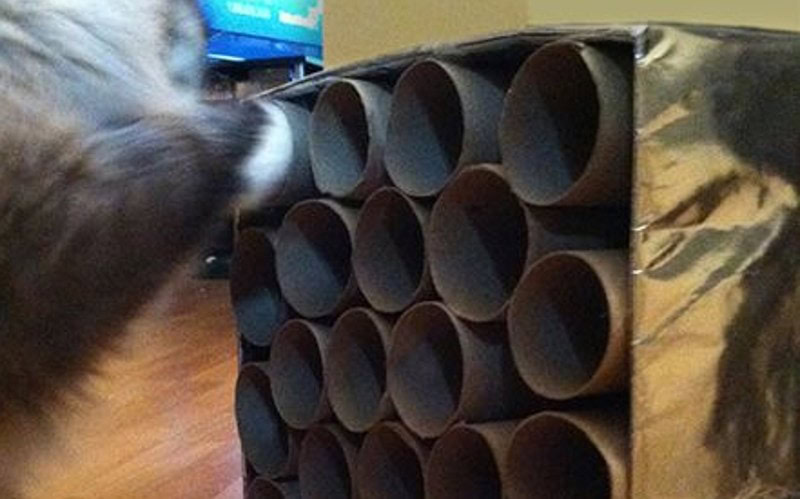 DIY Christmas Gifts For Cats