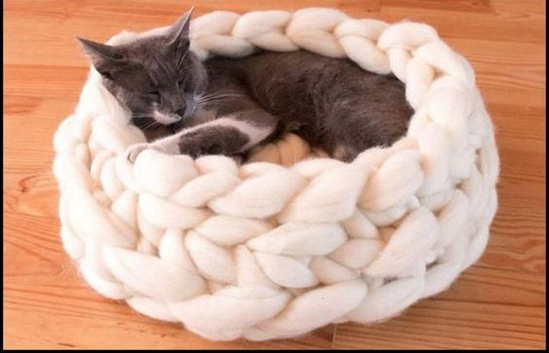 DIY Christmas Gifts For Cats