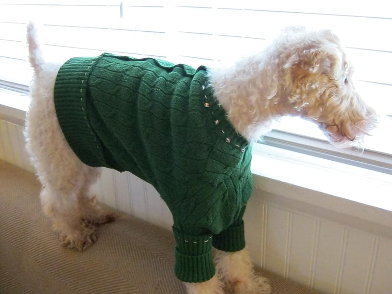 DIY Dog Sweater Plan