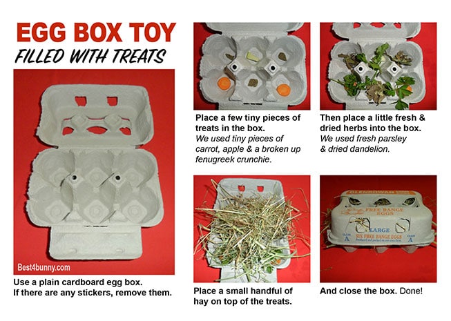 DIY Egg Box Rabbit Toy