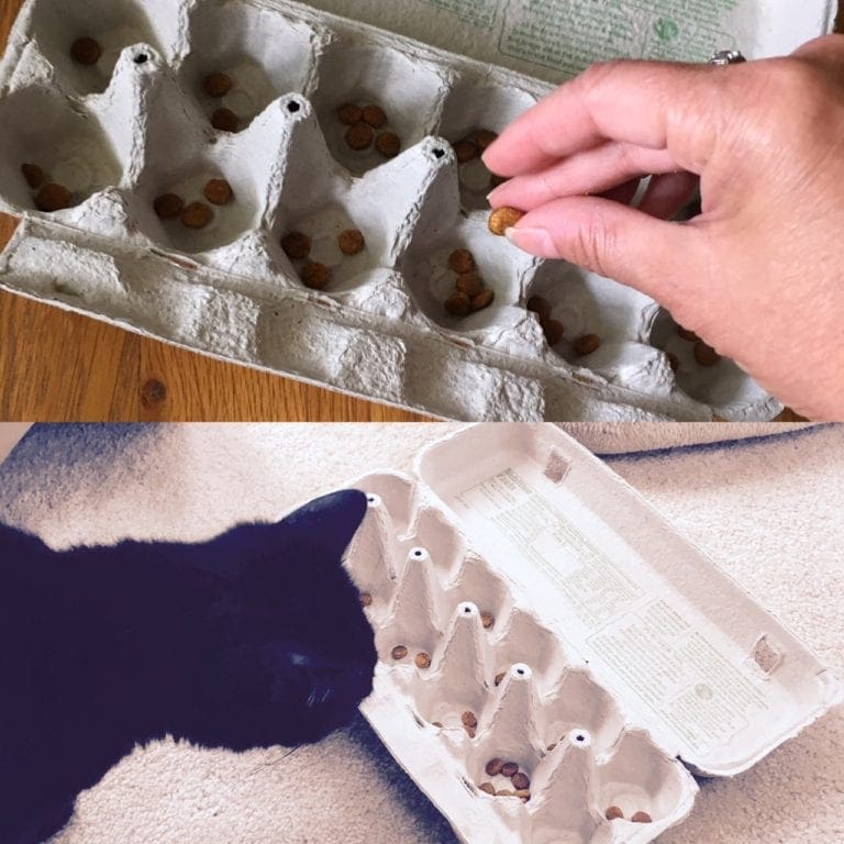 DIY Egg Carton Slow Feeder