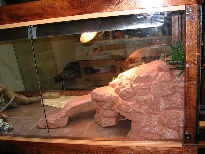 DIY Fake Basking Rock