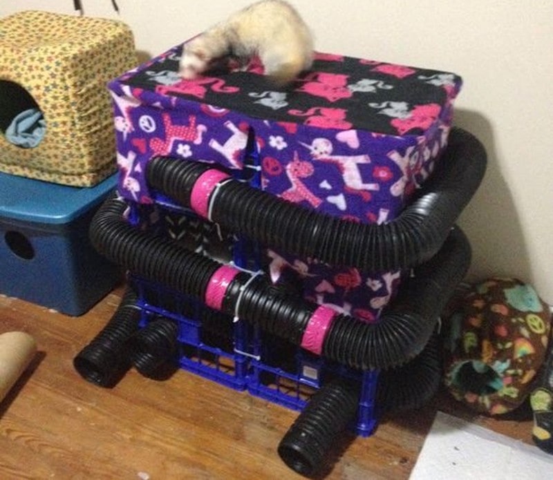 DIY Ferret Playpen and Playground