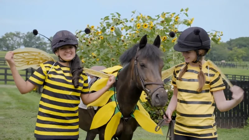 DIY Flower Bumblebee Costume