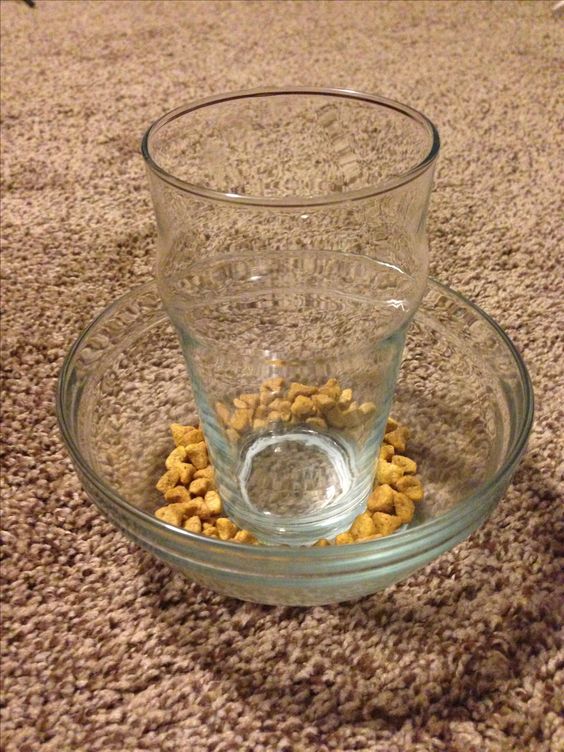 DIY Glass Bowl Slow Feeder