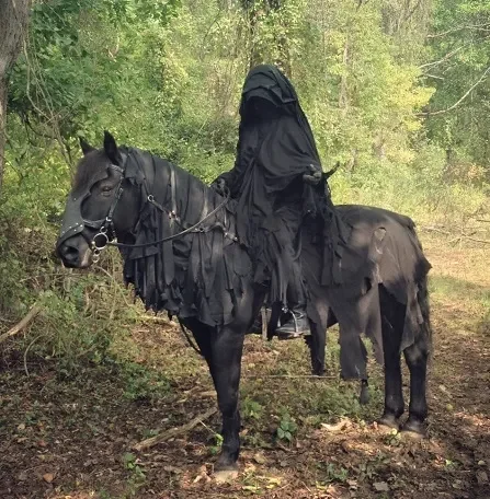 DIY Grim Reaper Horse Costume