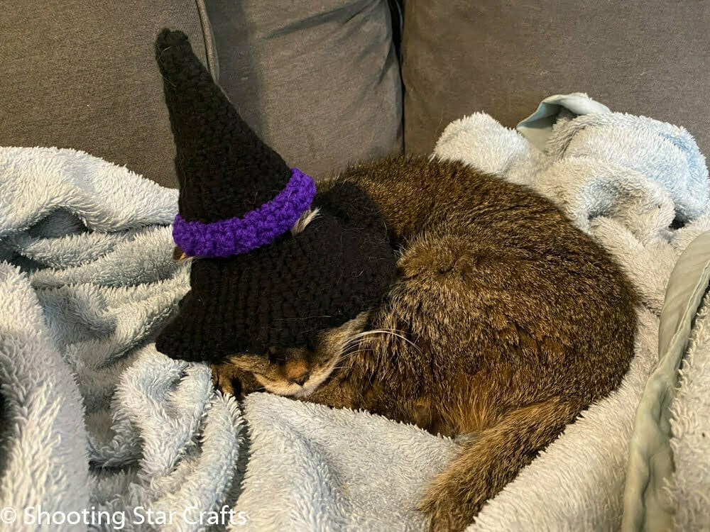 DIY Halloween Costume For Cats
