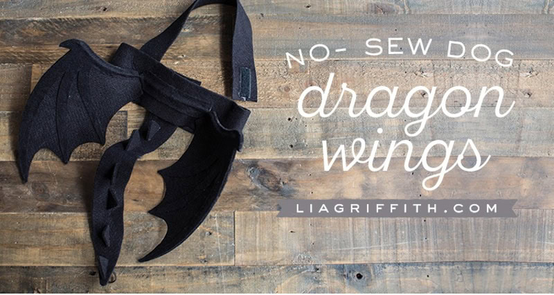 DIY Halloween Costume for Ferrets