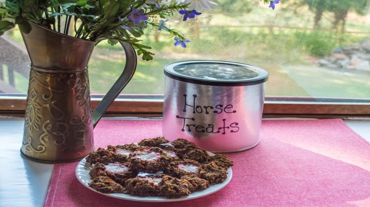 DIY Homemade Horse Treat Recipe
