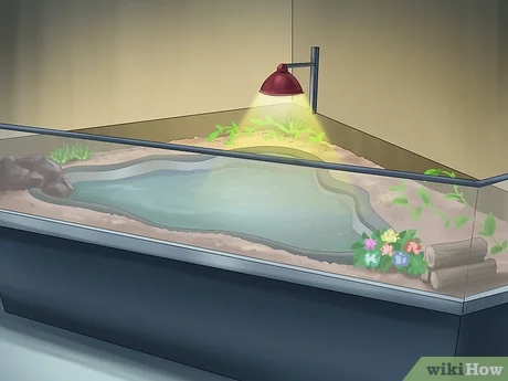 DIY Indoor Aquatic Turtle Habitat