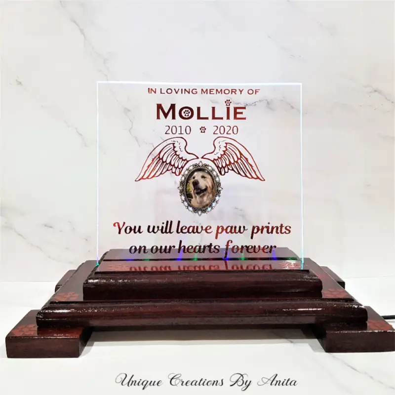 DIY LED Pet Memorial Plaque