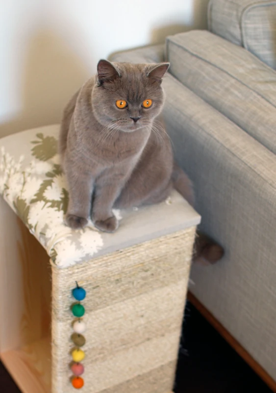 DIY Modern Cat Scratcher IKEA Hack