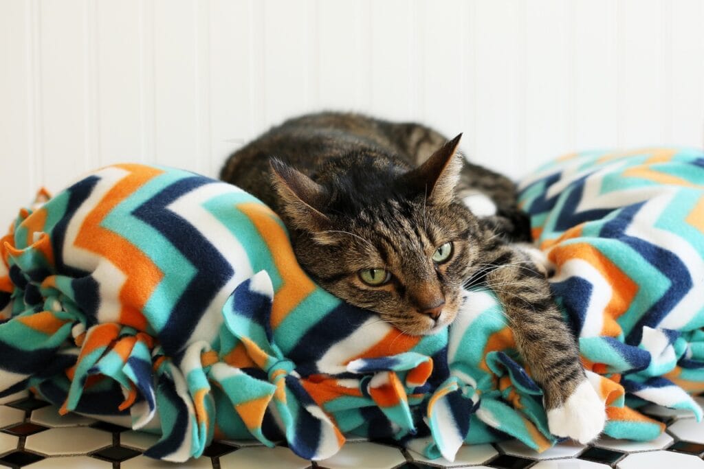 DIY No-Sew Easy Cat Bed