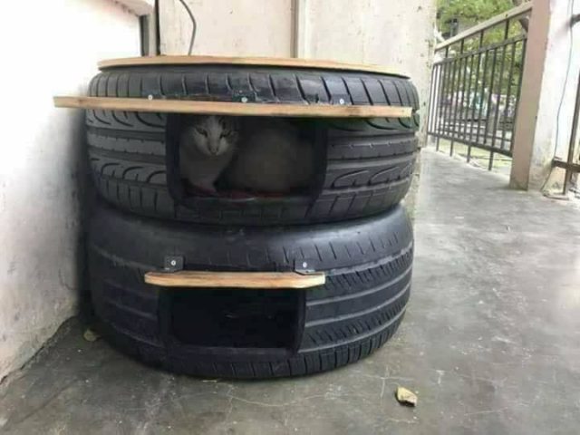 DIY Old Tire Outdoor Cat House