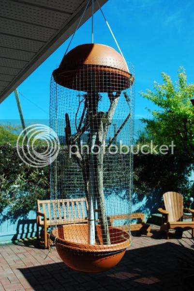 DIY Outdoor Enclosure [Pictures]