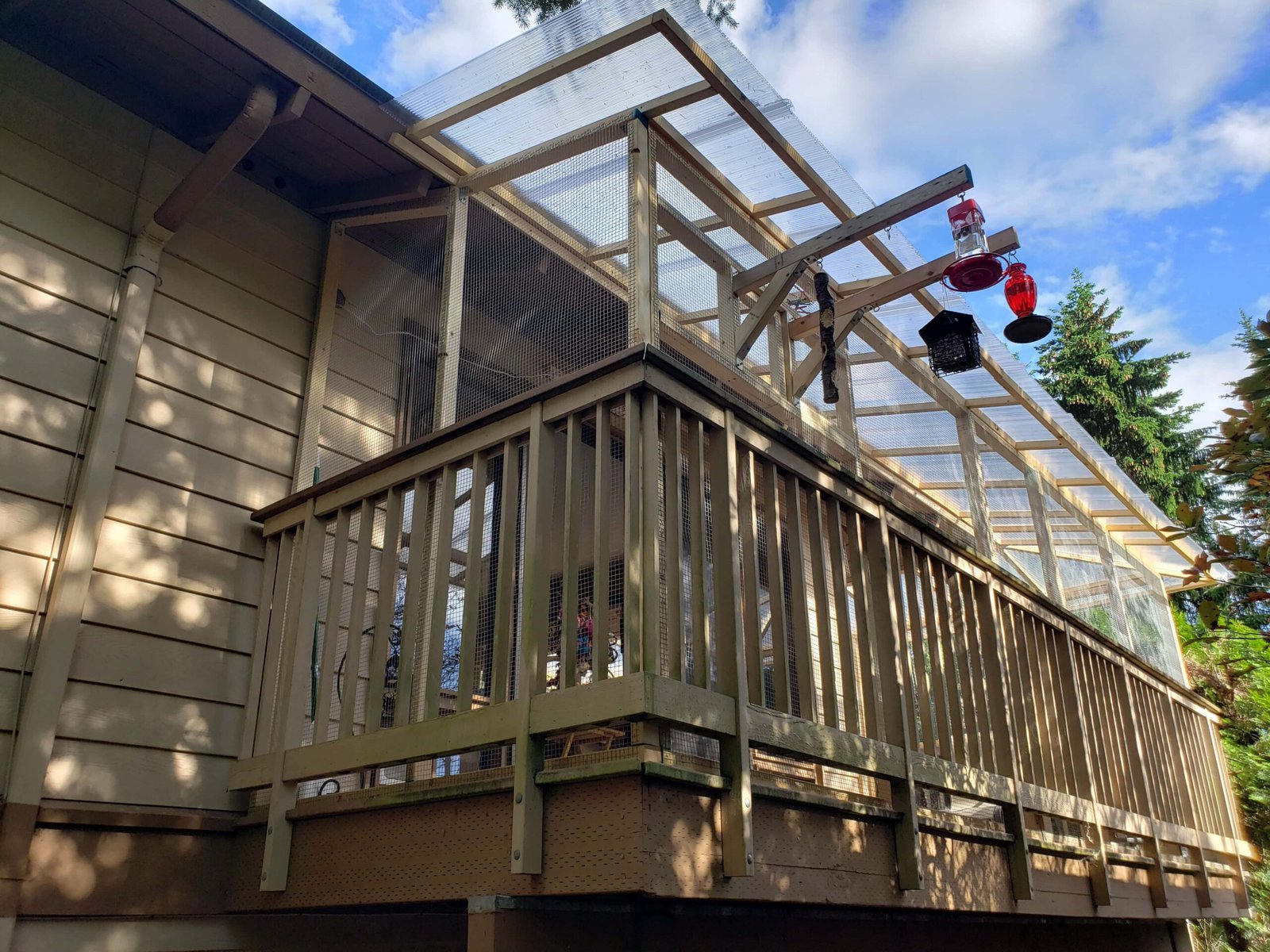 DIY Pet Bird Room Ideas