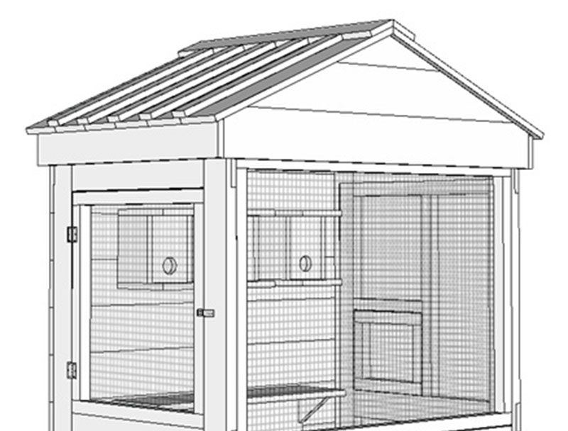 DIY Pet Bird Room Ideas