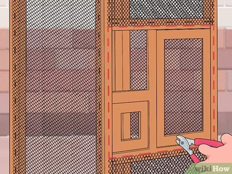 DIY Pet Bird Room Ideas