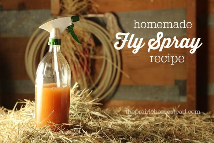DIY Prairie Homestead Fly Spray Recipe