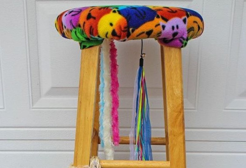 DIY Project For Your Cat