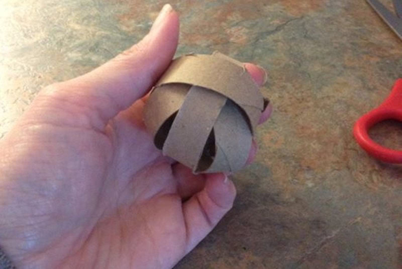 DIY Project For Your Cat