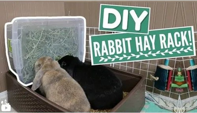 DIY Rabbit Hay Feeder