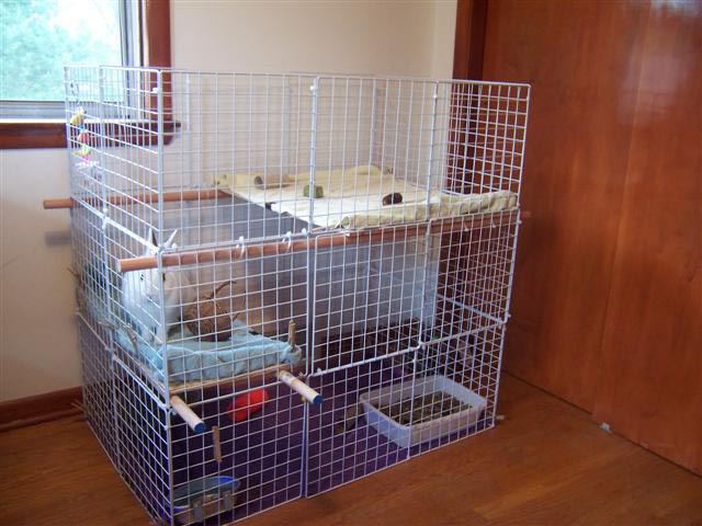 DIY Rabbit Hutch Plans