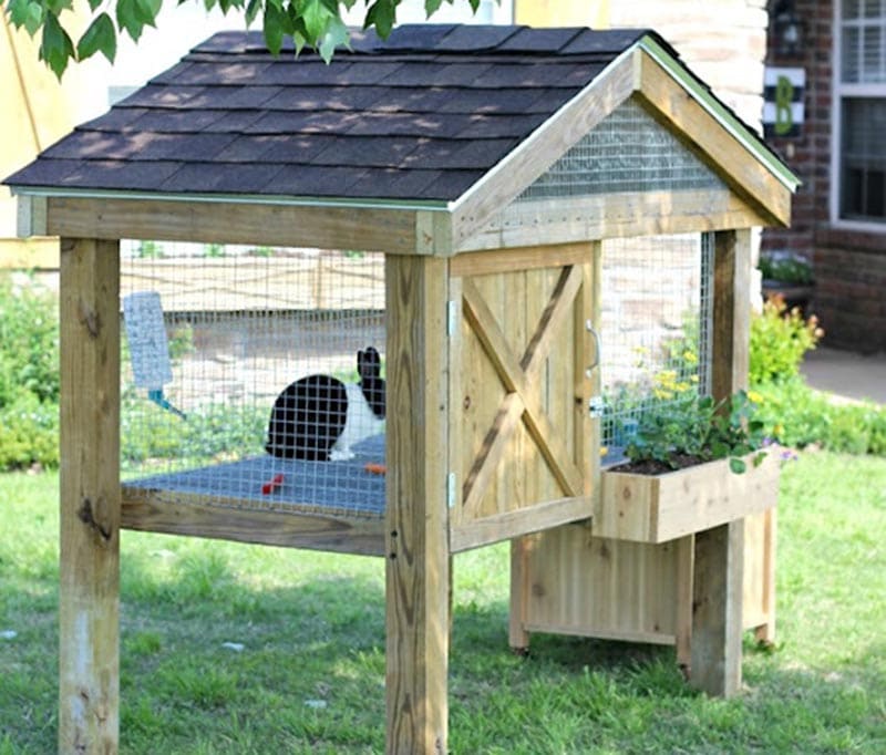 DIY Rabbit Hutch Plans