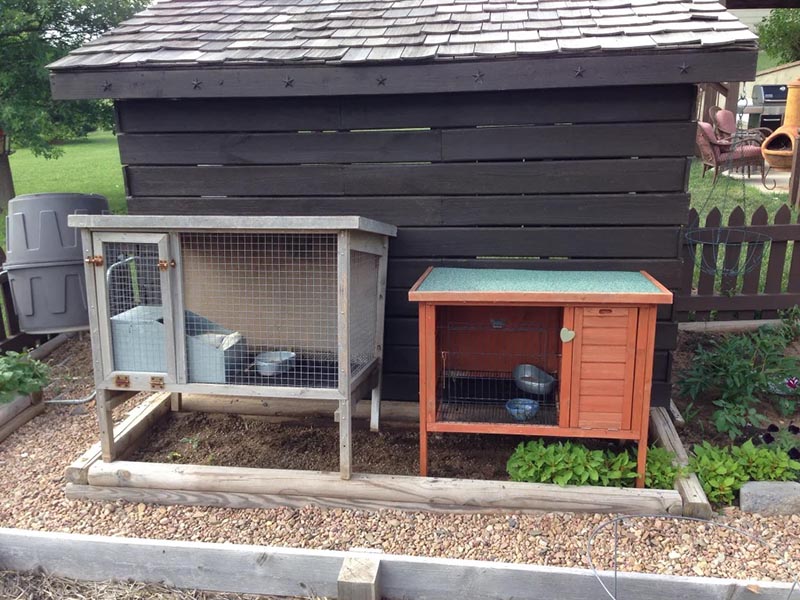 DIY Rabbit Hutch Plans