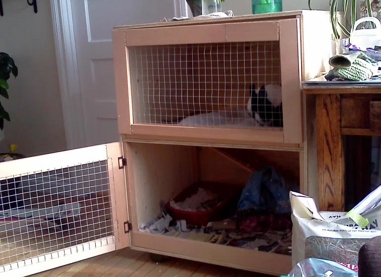 DIY Rabbit Hutch Plans
