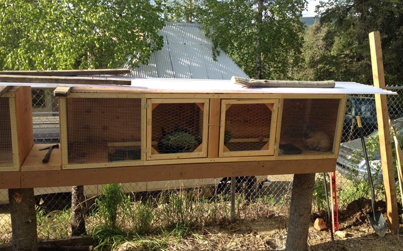 DIY Rabbit Hutch Plans