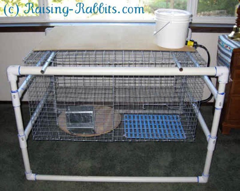DIY Rabbit Hutch Plans