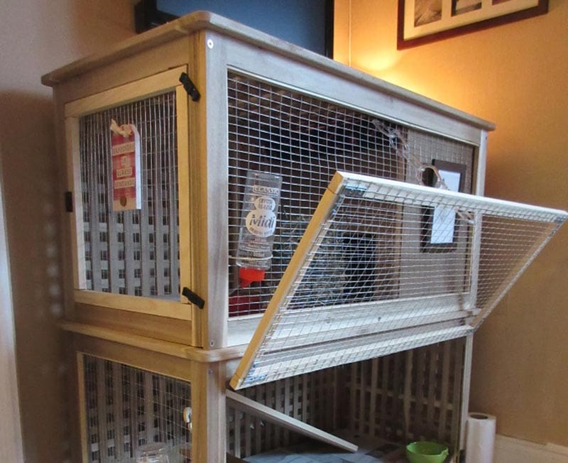 DIY Rabbit Hutch Plans
