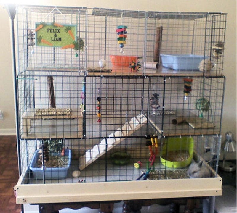 DIY Rabbit Hutch Plans