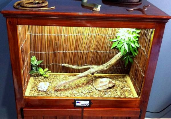 DIY Reed Mat Reptile Decor
