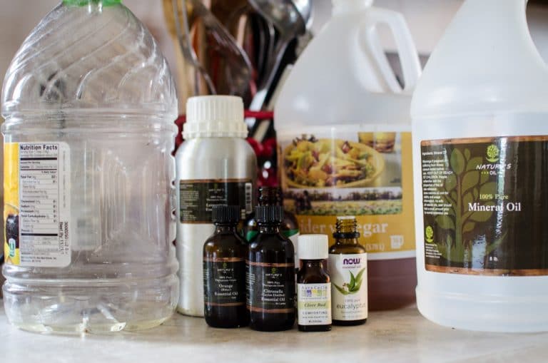 DIY Reformation Acres Best Homemade Fly Spray