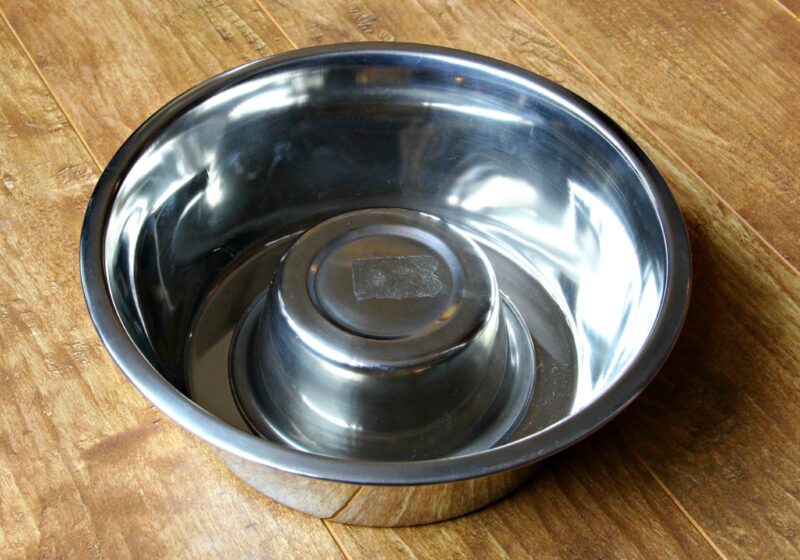 DIY Simple Slow Feeder Dish