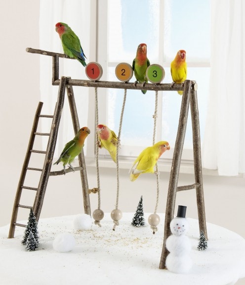 DIY Small Bird Pet Swing