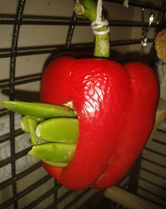 DIY Stuffed Pepper Treat