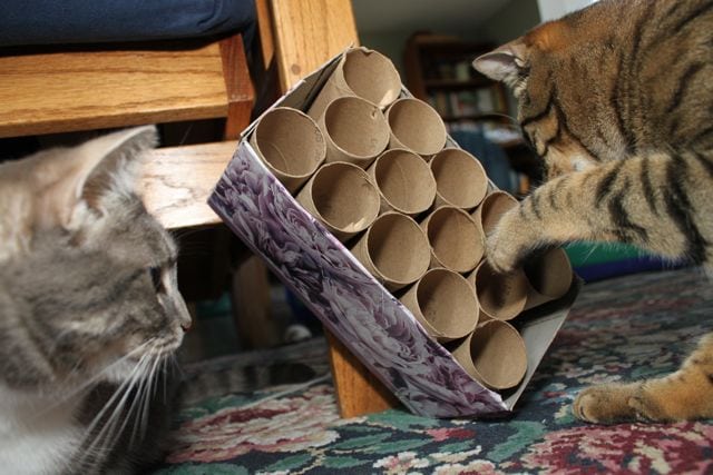 DIY Toilet Paper Roll Tower