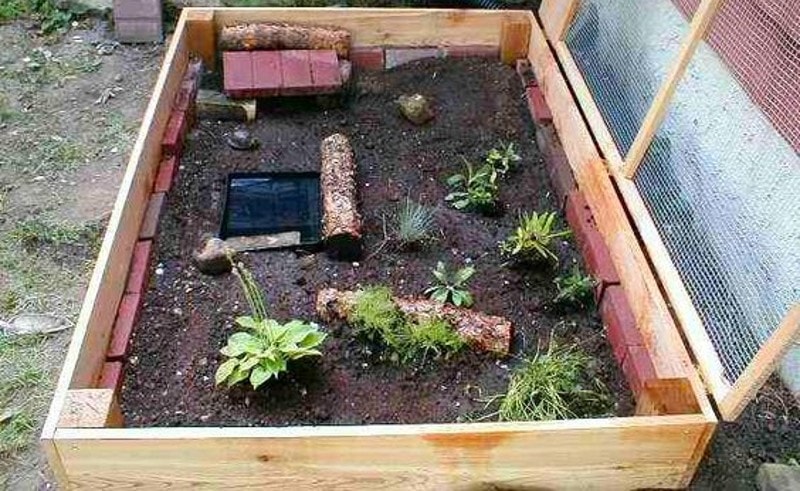 DIY Tortoise Enclosure