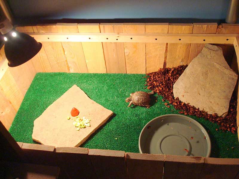DIY Tortoise Enclosures