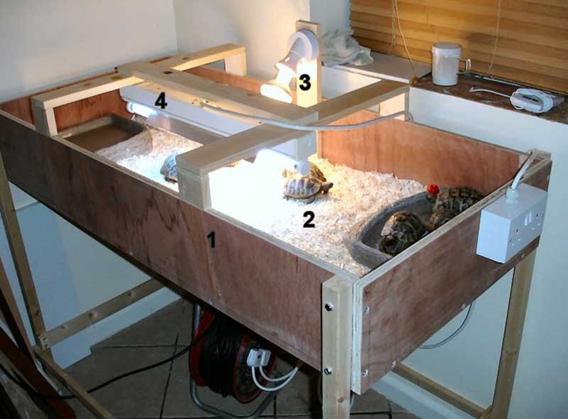 DIY Tortoise Enclosures